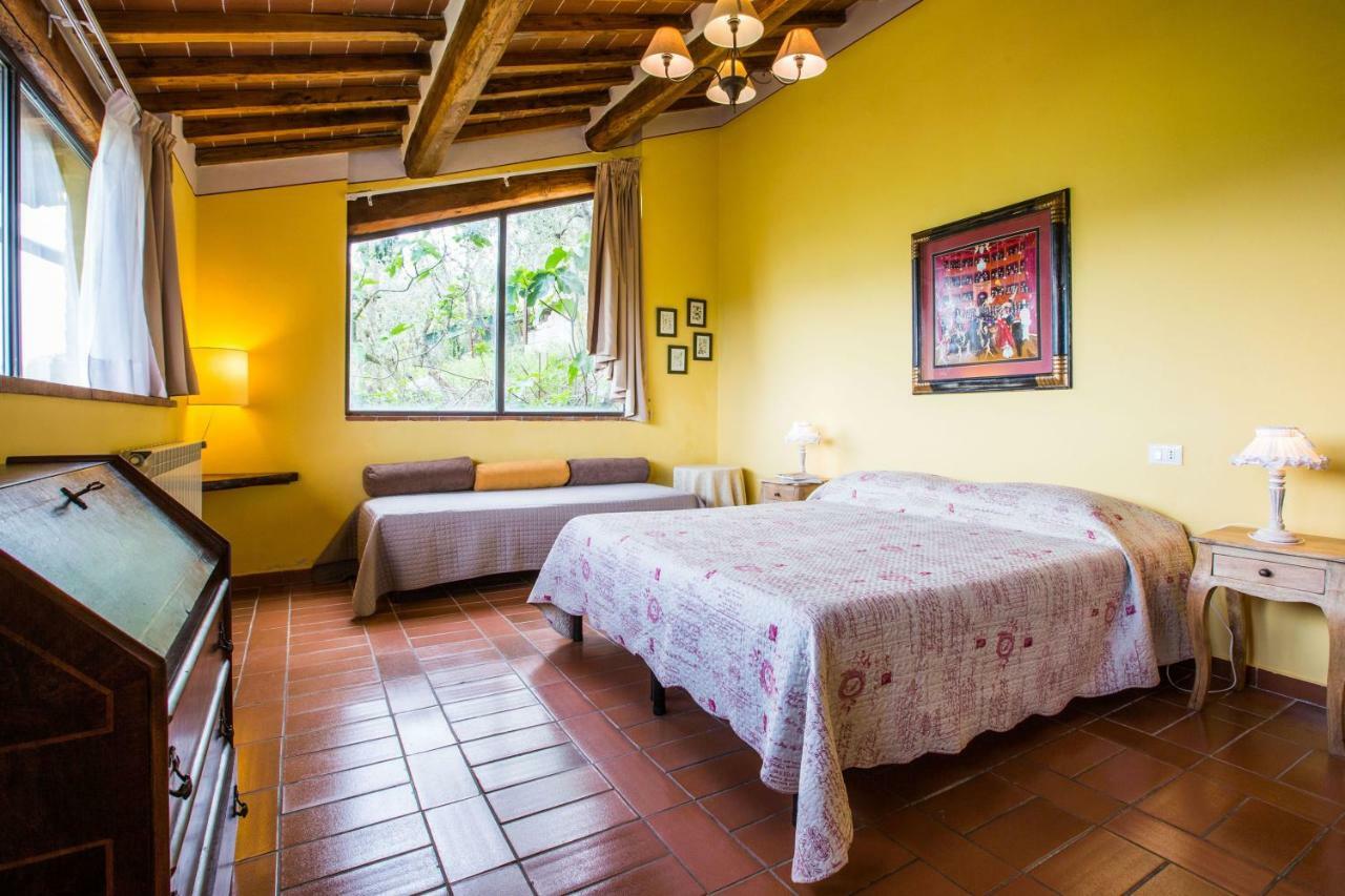 Tavarnelle Val di Pesa Agriturismo La Villa Romita מראה חיצוני תמונה