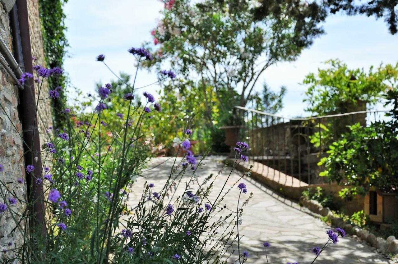 Tavarnelle Val di Pesa Agriturismo La Villa Romita מראה חיצוני תמונה